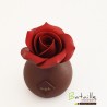 Rose éternelle