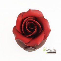 Rose éternelle