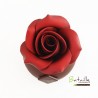Rose éternelle