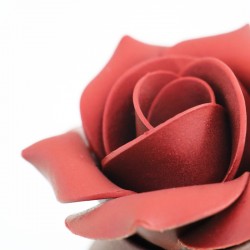 Rose éternelle