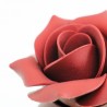 Rose éternelle